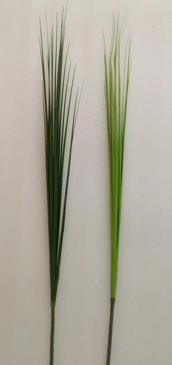 Wheat Leaf Hanging